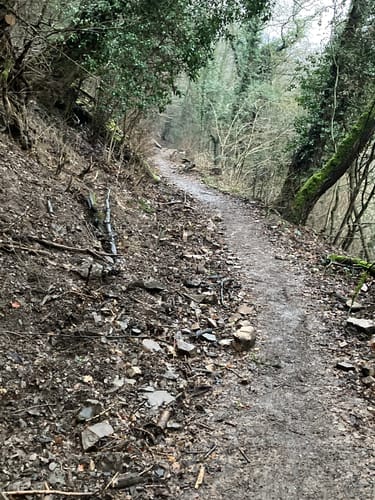 Von Fachenbach zum Fachbacher Felsenkapellchen
