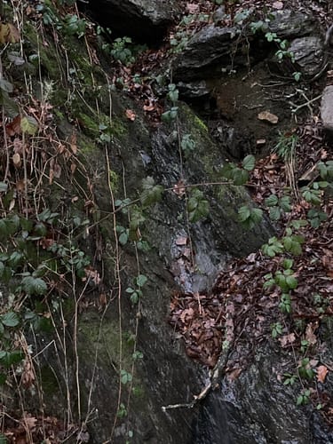 Von Fachenbach zum Fachbacher Felsenkapellchen