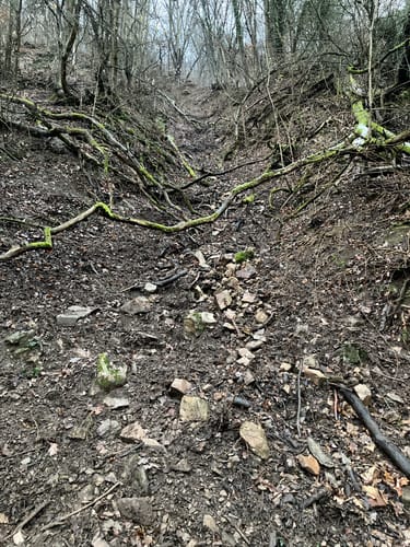 Von Fachenbach zum Fachbacher Felsenkapellchen