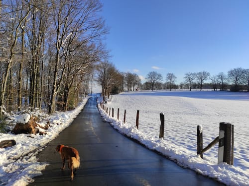 Wünnerhof Rundweg A6