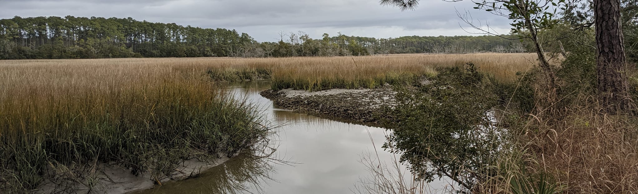 Meggett County Park Red Trail, South Carolina 175 Reviews, Map