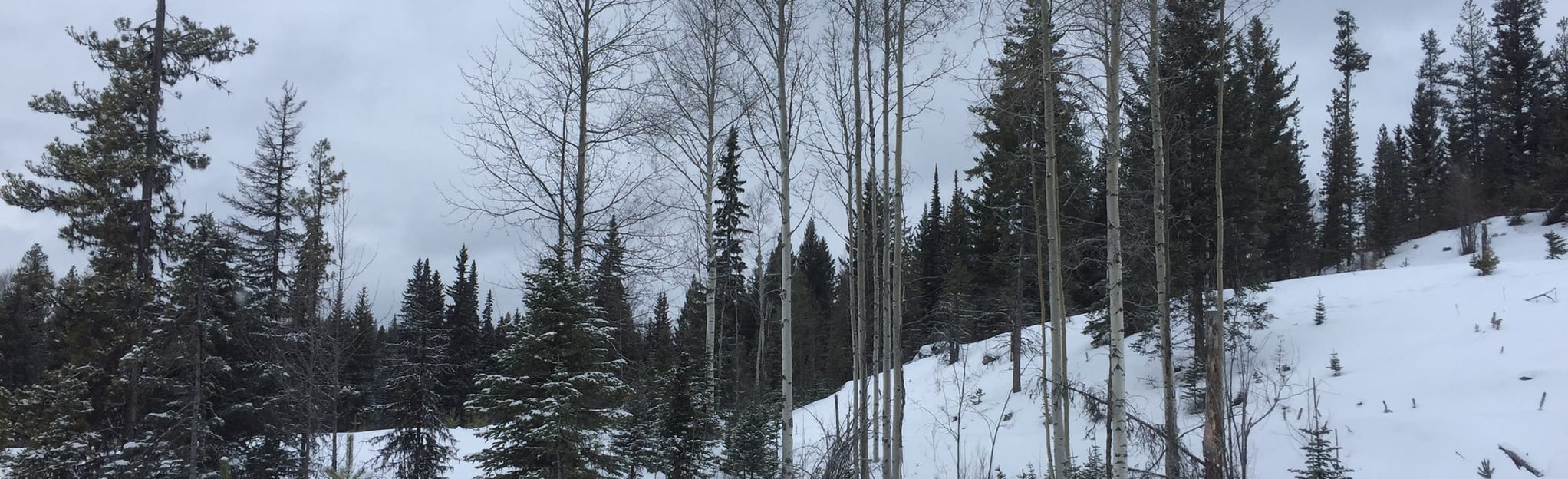 Meadow Cabin and Log Cabin Loop 10 Reviews, Map British Columbia