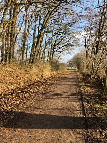 Runde bei Henstedt