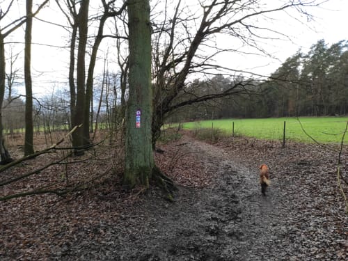Zum Farnberg