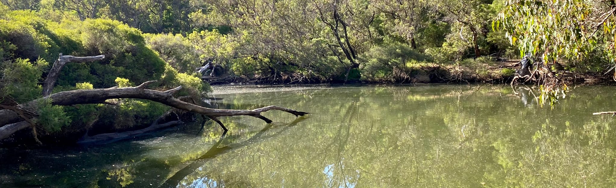 Blackwood River Paddle Warner Glen Road to Great North Road, Western
