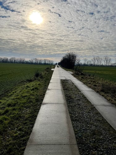 Bördeland Pfingsgraseweg
