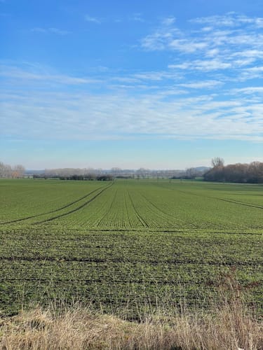 Bördeland Pfingsgraseweg