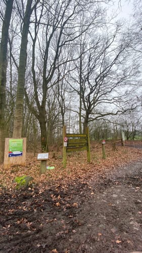 Wohldorferwald Rundweg