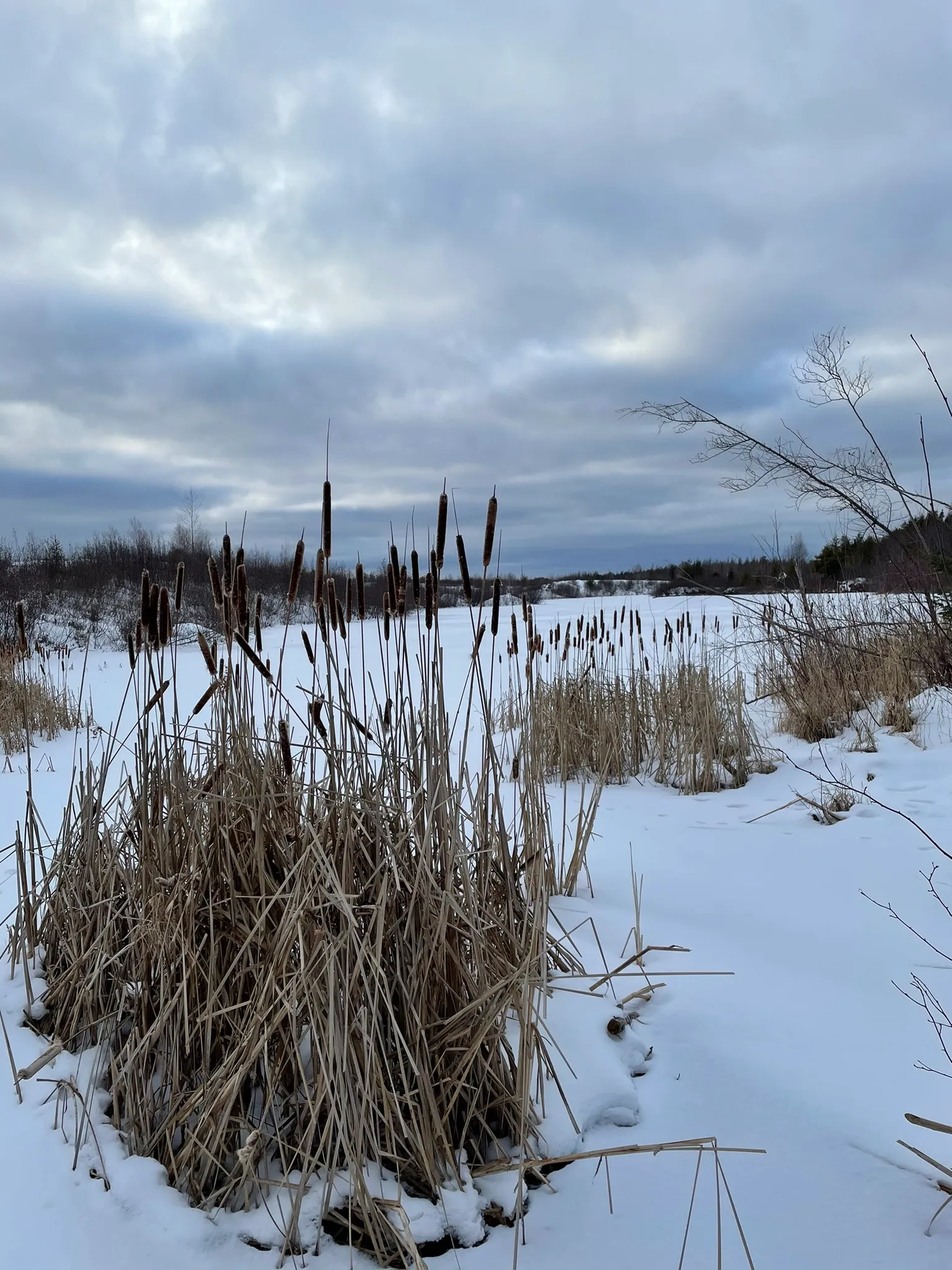 Railbed Connector to NB Trail / #CanadaDo / Best Horseback Riding Trails in New Brunswick 