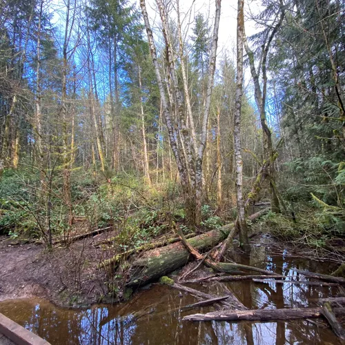 10 Best Trails and Hikes in Gig Harbor AllTrails