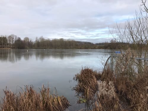 Poggensee