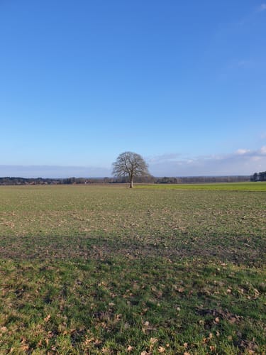 Planetenlehrpfad Handeloh