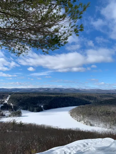 10 Best Forest Trails In Moreau Lake State Park Alltrails