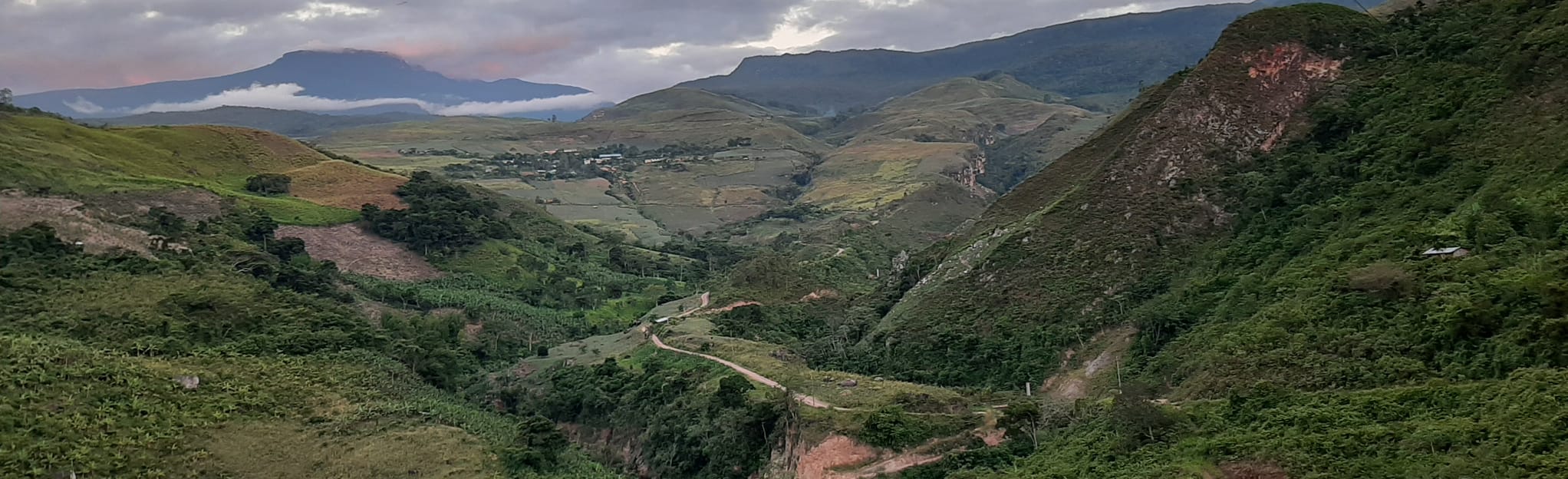 Aramango - Foto 4