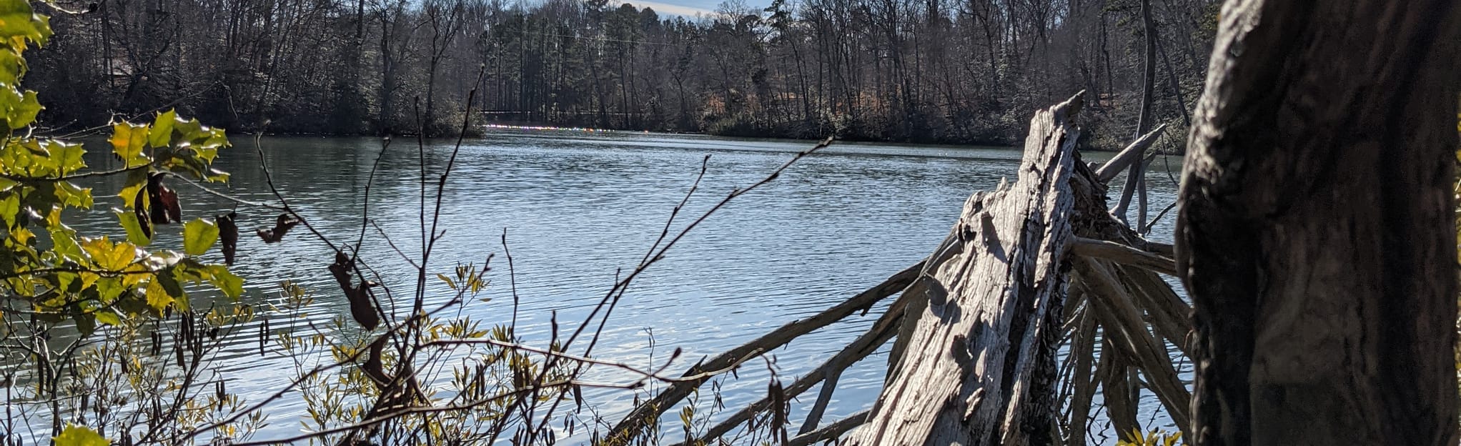 Lake Matoaka Trail, Virginia 173 Reviews, Map AllTrails