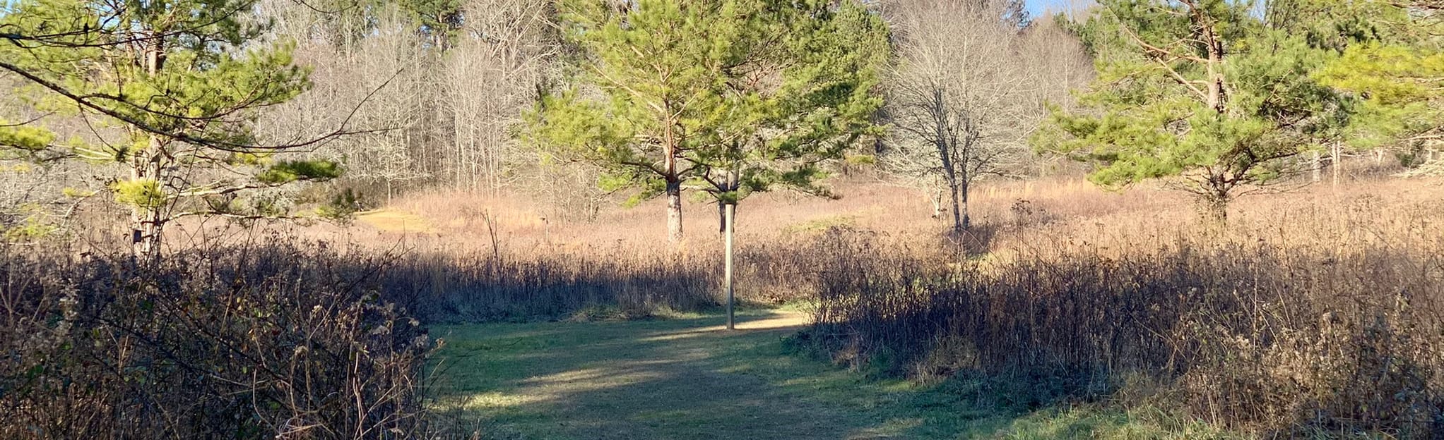 Leone Hall Price Meadow Loop, 77 Reviews, Map AllTrails