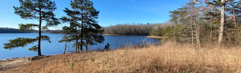 Holly Bay Campground via Sheltowee Trace Kentucky 88 Reviews