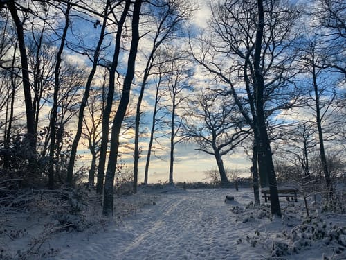 Schenefeld nach Wedel