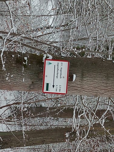 Hohe Äbtissin 
