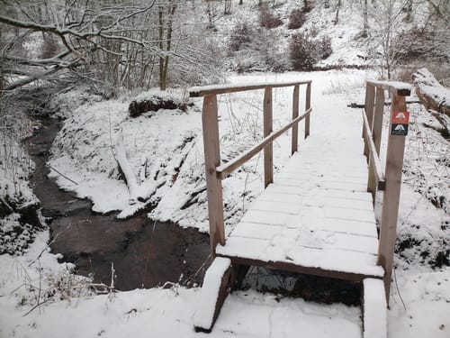 Hohe Äbtissin 