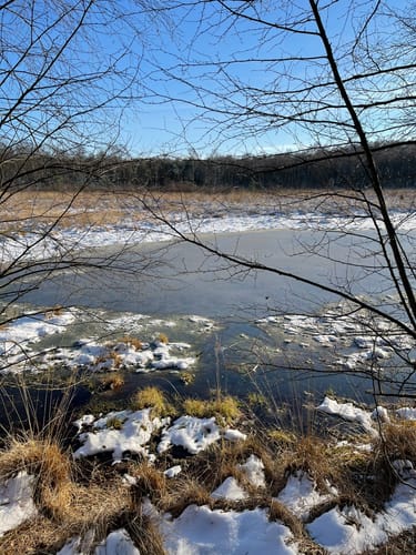 Himmelmoor Rundwanderung