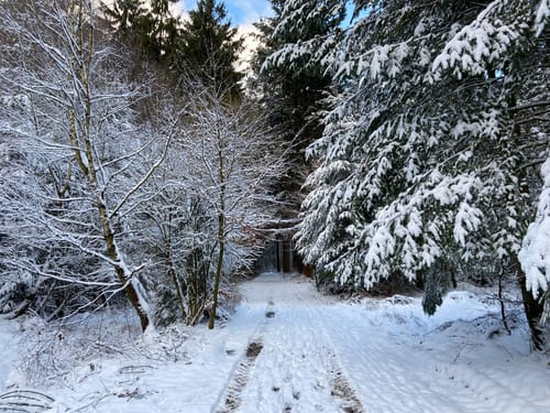 Reitroute P6 Stuvenwald