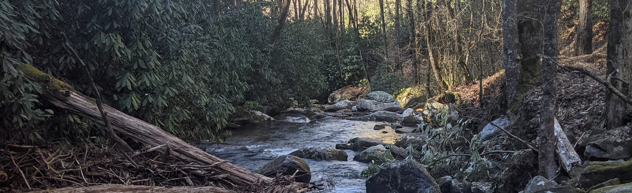 Darnell Creek Falls, 63 Reviews, Map AllTrails