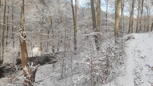 Naturlehrpfad Gerhard-Schulze-Weg