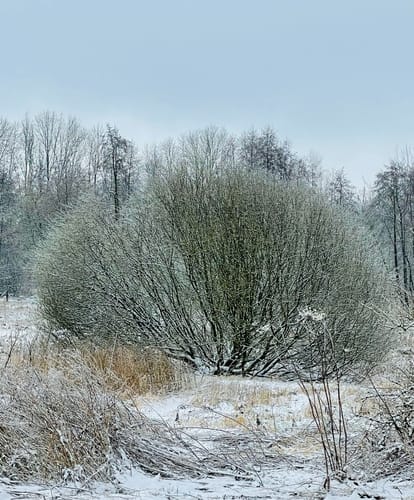 Papenhuser Sunder Rundweg