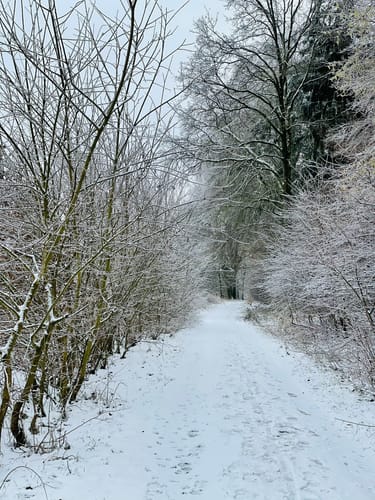 Papenhuser Sunder Rundweg