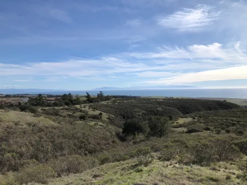 10 Best Walking Trails in Wilder Ranch State Park | AllTrails