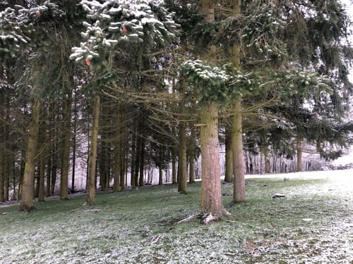 Premiumwanderweg: Wollmerschieder Grenzweg