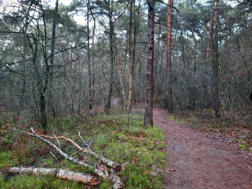 Isterberg Rundweg
