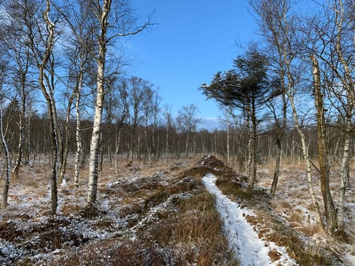 Rund um Felm