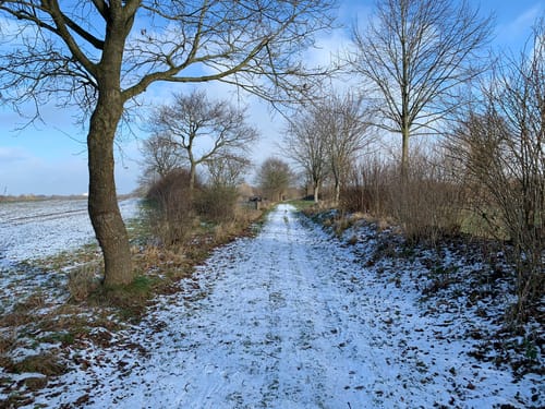 KreisbahnTörn
