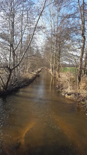 Durchs Versmolder Bruch