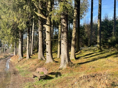 Kleine Runde an der Ennepe
