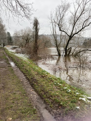 Am Main von Trennfeld nach Wertheim