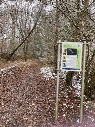 Am Main von Trennfeld nach Wertheim