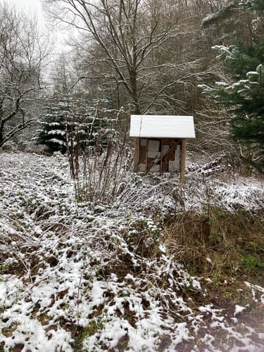 Am Main von Trennfeld nach Wertheim