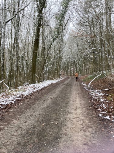 Am Main von Trennfeld nach Wertheim