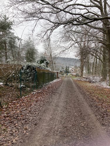 Am Main von Trennfeld nach Wertheim