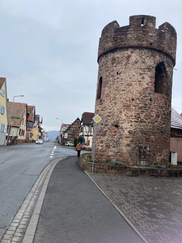 Am Main von Trennfeld nach Wertheim