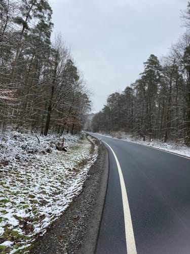 Am Main von Trennfeld nach Wertheim
