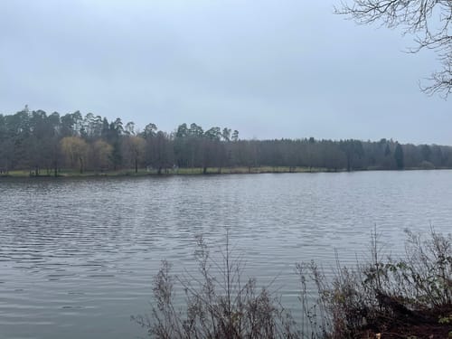 Brückweiher - Gustavsburg