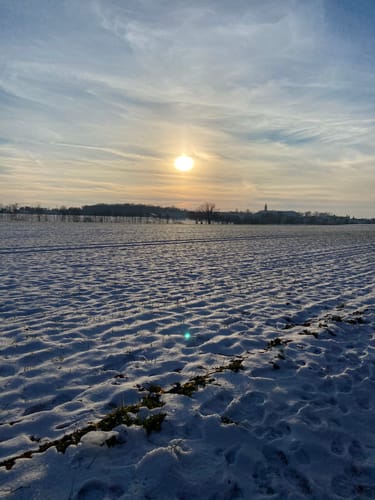 Wermsdorf-Collm