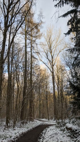 Rundweg Wolfsdorf - Blankensee