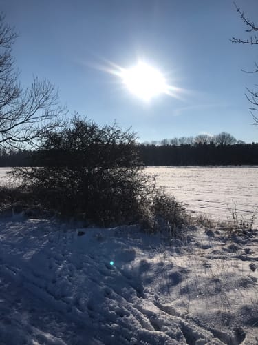 Rundwanderweg Frankenförde
