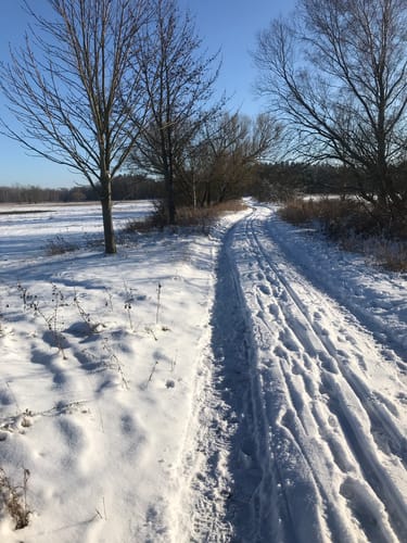 Rundwanderweg Frankenförde