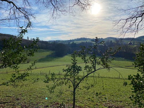 Elfringhauser Schweiz